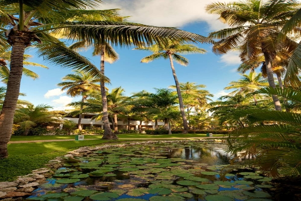 Hotel Melia Caribe Beach Resort